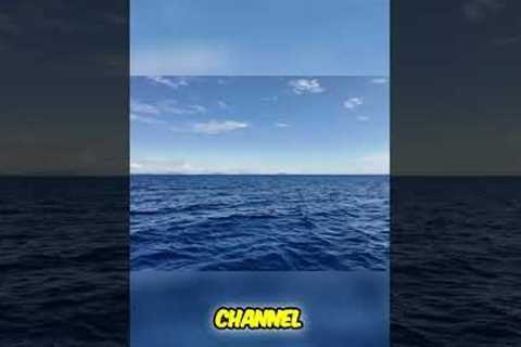 Island Hopping Greece: Friends Plan Epic Boat Trip Through Channels!