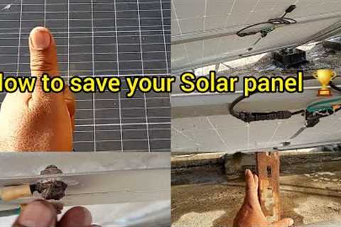 How to save your solar panel 🏆