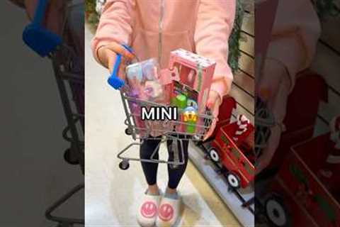 My Sister Buys Whatever FITS into a MINI SHOPPING CART! 😱🛍️🛒 *Target Shopping Spree*