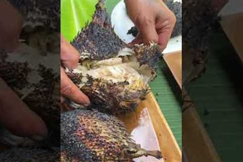 EPIC Catch &amp; Cook: Grilling 4 FRESH Fish Over Open Fire! 🐟🔥 (From River to Plate!)