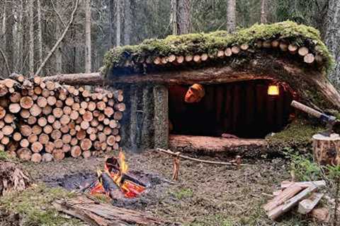 48 Hours in a Survival Shelter  Building a shelter for survival and survival skills in the wild.