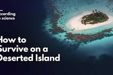 How to Survive Being Stranded on a Deserted Island, According to Science