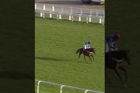 What was he thinking!!!! #horse #horseracing #racingtv #sport #britishhorseracing