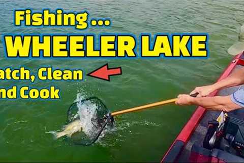 Catching FISH to EAT for DINNER !!! (CATCH,CLEAN and COOK Fish)