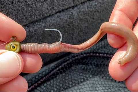How to Properly Hook a Worm (Nightcrawler Rigging Perfection)