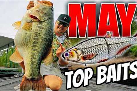 Out-Fish EVERYONE at Your Lake with these Top 10 Baits for May!