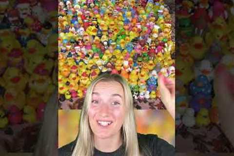 The WEIRDEST COLLECTIONS People Actually Have!😳