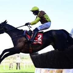 By 22 lengths! GALOPIN DES CHAMPS pummels his rivals in 2025 Ladbrokes Punchestown Gold Cup
