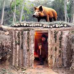 Building a Warm Shelter in a Boar's Den, Survival Skills