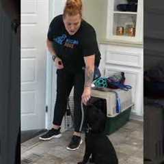 Do THIS Every Morning After You Feed Your Puppy!