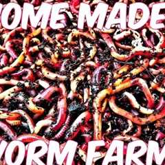 Home Made (DIY) Worm Farm: For Fishing