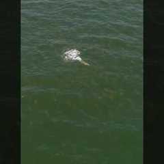 Casting to 1000’s of Hungry Fish