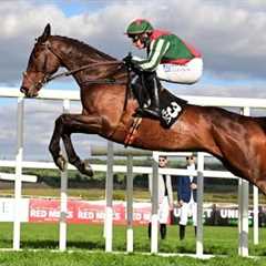 FINAL DEMAND oozes class at Punchestown