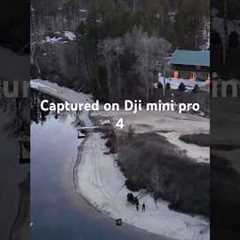 The Majestic Swim of Loons: A Drone's Eye View #shorts