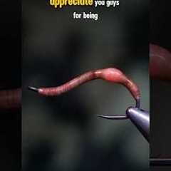Earthworm Fly!