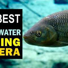Best Underwater Fishing Camera [UPDATED] 🏆 Top 5 Underwater Fishing Camera Reviews