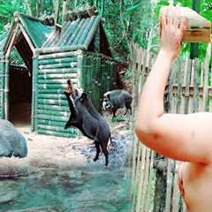 120 Days of Survival: Building Shelters & Hunting in the Deep Jungle | phượng pú