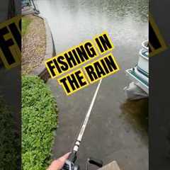 Fishing in the rain in my favorite. #fishing #bassfishing #fishingshorts