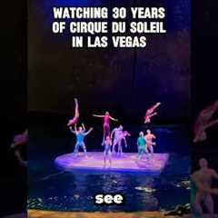 2 DAYS TO WATCH all Cirque du Soleil Vegas shows