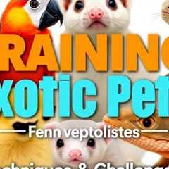 Training Exotic Pets: Techniques and Challenges