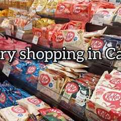 Grocery Shopping Compilation in Canada 🛒Summary of April grocery shopping with prices.