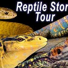 Reptile Shop Tour: Giant Monitors & Exotic Reptiles!