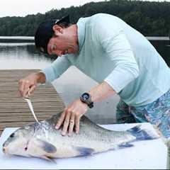 IS THIS FISH EDIBLE? Buffalo Catch Clean & Cook