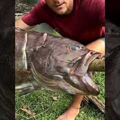 Catch Fish At lake For Survival. Primitive FIRE STARTING TECHNIQUES.