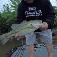Table Rock Lake Bass fishing report May 1, 2025