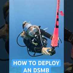 How To Deploy A Surface Marker Bouy | Scuba Diving Skills