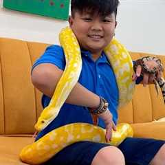 Alex and Eric Gets New Pet Animals | Learn About Wild Animal Reptiles