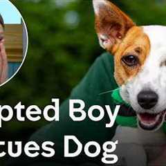 Adopted Boy Finds His Perfect Rescue Dog | The Dog House 🐶 | Dog Stories
