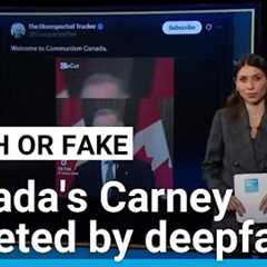Canadian PM Carney targeted by viral deepfakes on social media • FRANCE 24 English