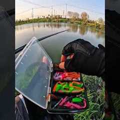 Second Catch at the lake | Fishing 🎣 with the lure