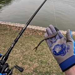 Fishing with ONLY the Fluke!!