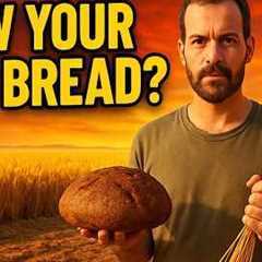 Grow Wheat & Bake Bread at Home – Full Guide from Seed to Slice!