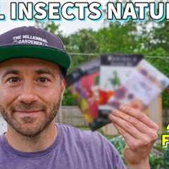 4 Flowers That REPEL INSECT PESTS I'm Planting NOW [And 1 To Avoid]