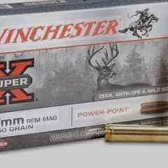 The best economy factory deer ammo for your deer rifle. My top 5 pics