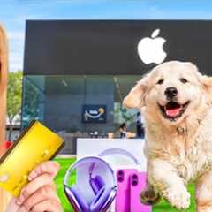 My puppy controls my credit card for 24 hours