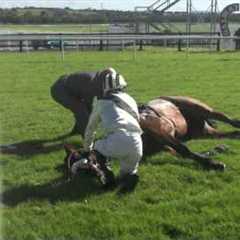 Racing horse death by accident in Galway