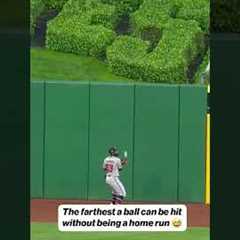 Andrew McCutchen was INCHES from a home run 🤯 #baseball #mlb