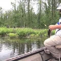 Fishing Reelfoot Lake
