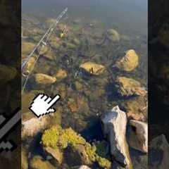 CAUGHT A Fish INSTANTLY (.0002 Seconds)!! 🎣🐟 #shorts #fishing