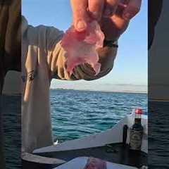 TUNA SASHIMI CATCH AND COOK