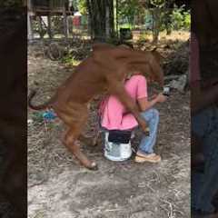 funny video#comedy video#viral#trending#for you#YouTube short