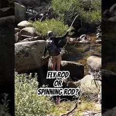 Which fishing style is best? #flyfishing #lurefishing #spinner #fly #fishing #trout #reels #fish