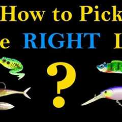 How to Pick the Right Fishing Lure (Best Way to Catch a Fish)