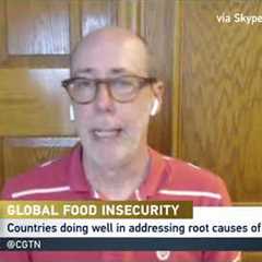 How a pandemic sparked a global food shortage