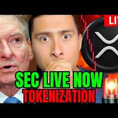 XRP SEC Crypto Task Force LIVE!🔴BlackRock SPEAKS Tokenization