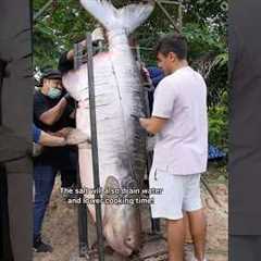 Cooking The World’s Largest Fish